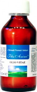 olio_vitae.72