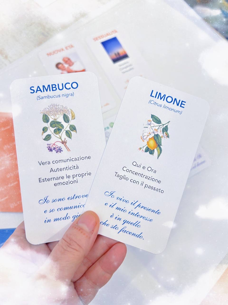 CARTE - immagine 5