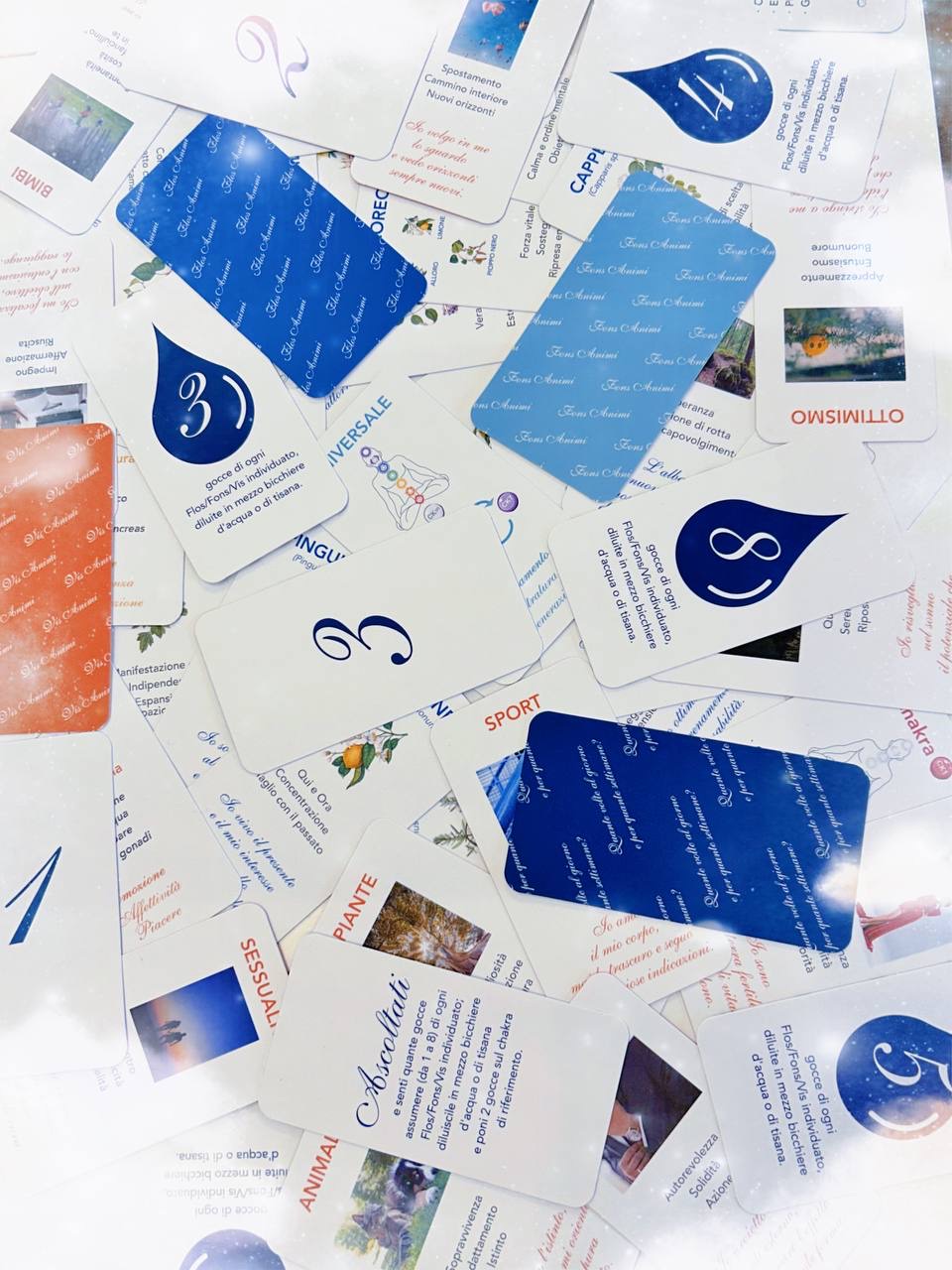 CARTE - immagine 4